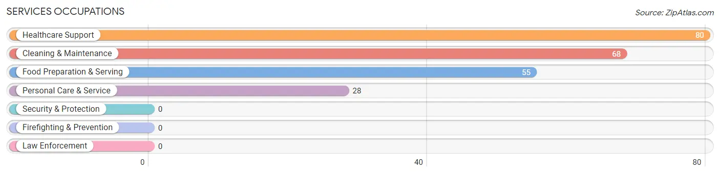 Services Occupations in Zip Code 25253