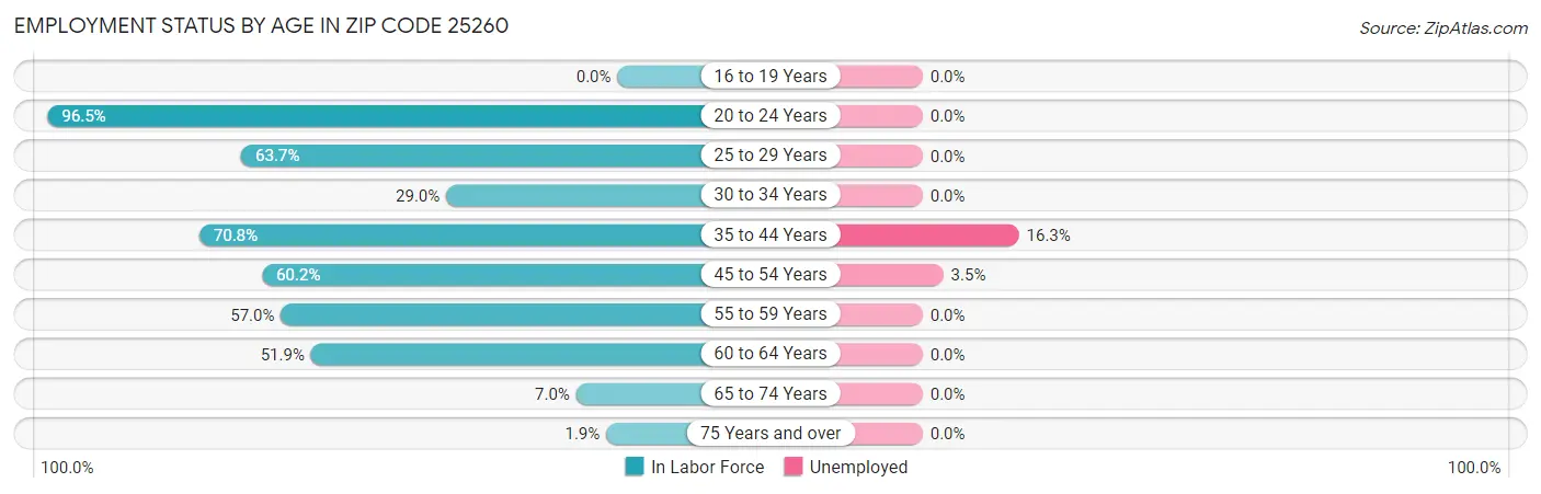 Employment Status by Age in Zip Code 25260