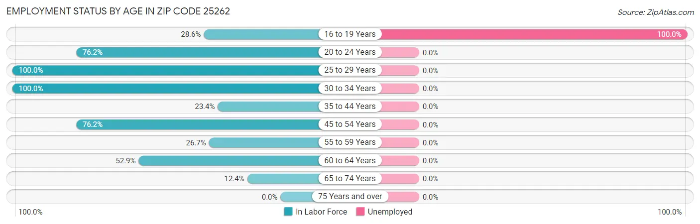 Employment Status by Age in Zip Code 25262
