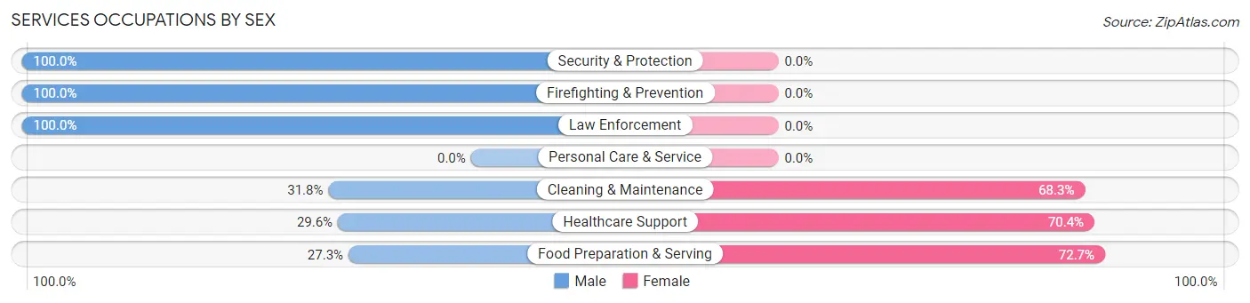 Services Occupations by Sex in Zip Code 25265