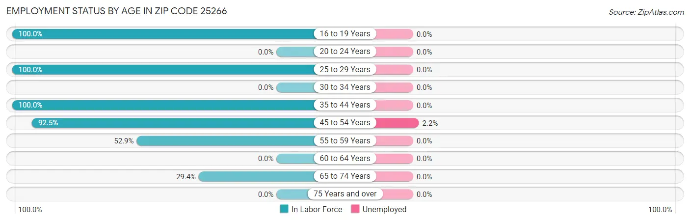 Employment Status by Age in Zip Code 25266