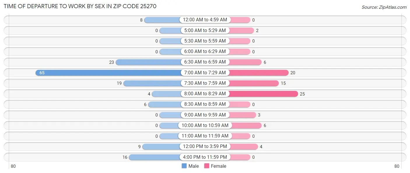 Time of Departure to Work by Sex in Zip Code 25270