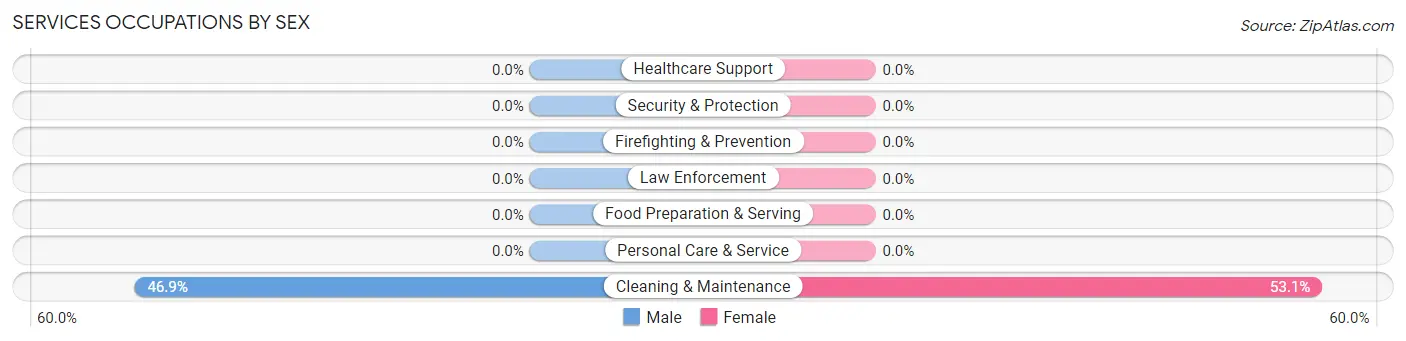 Services Occupations by Sex in Zip Code 25286