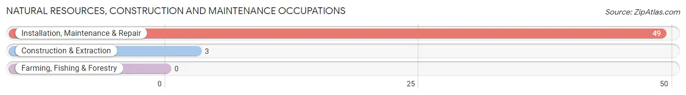 Natural Resources, Construction and Maintenance Occupations in Zip Code 25301