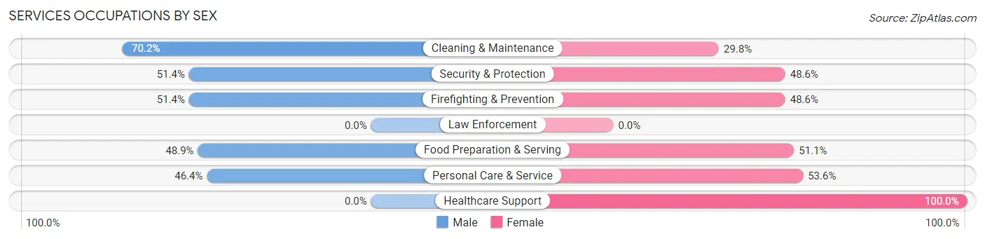 Services Occupations by Sex in Zip Code 25303