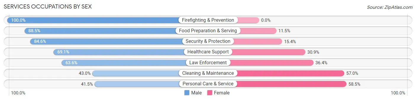 Services Occupations by Sex in Zip Code 25304