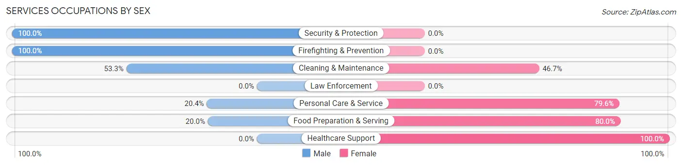Services Occupations by Sex in Zip Code 25306