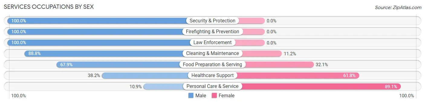 Services Occupations by Sex in Zip Code 25311
