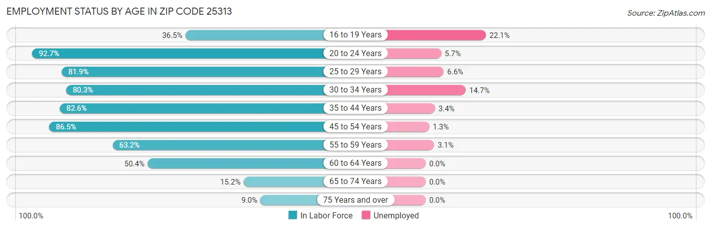 Employment Status by Age in Zip Code 25313