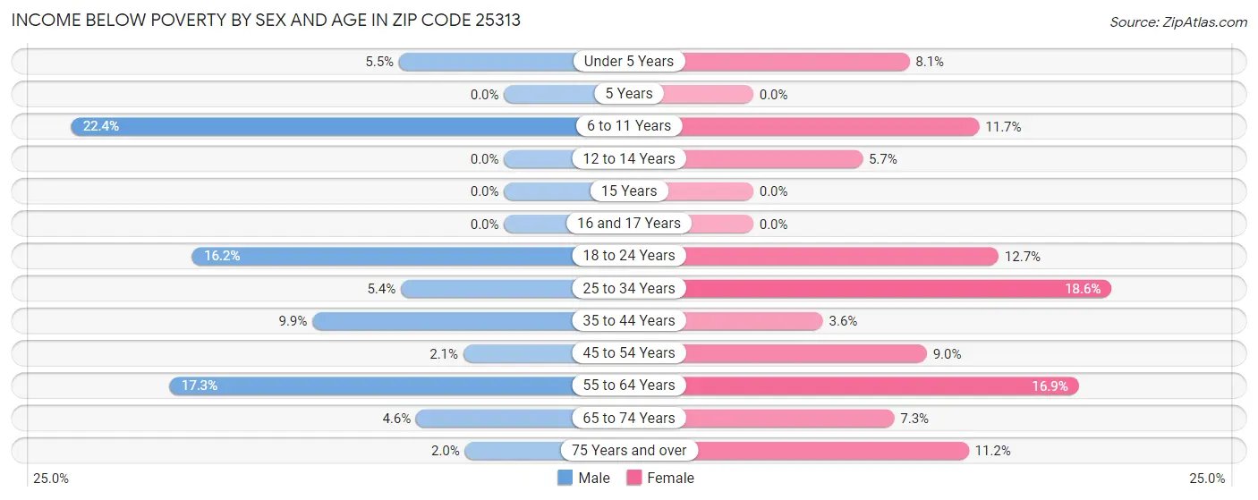 Income Below Poverty by Sex and Age in Zip Code 25313