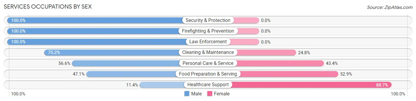 Services Occupations by Sex in Zip Code 25313