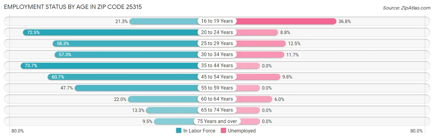 Employment Status by Age in Zip Code 25315