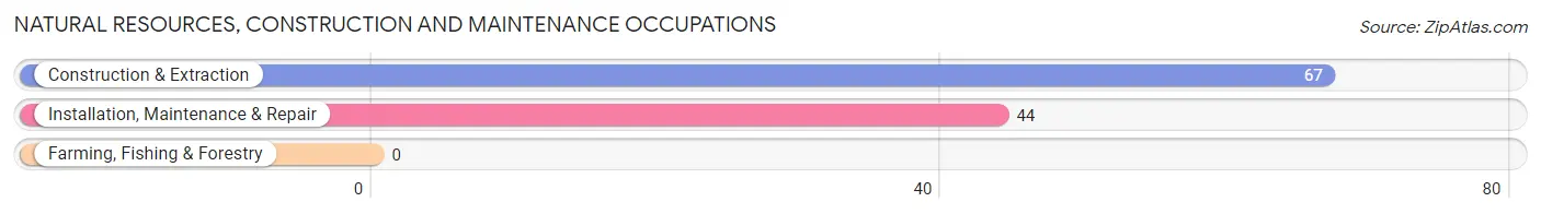 Natural Resources, Construction and Maintenance Occupations in Zip Code 25315