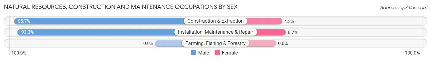 Natural Resources, Construction and Maintenance Occupations by Sex in Zip Code 25401