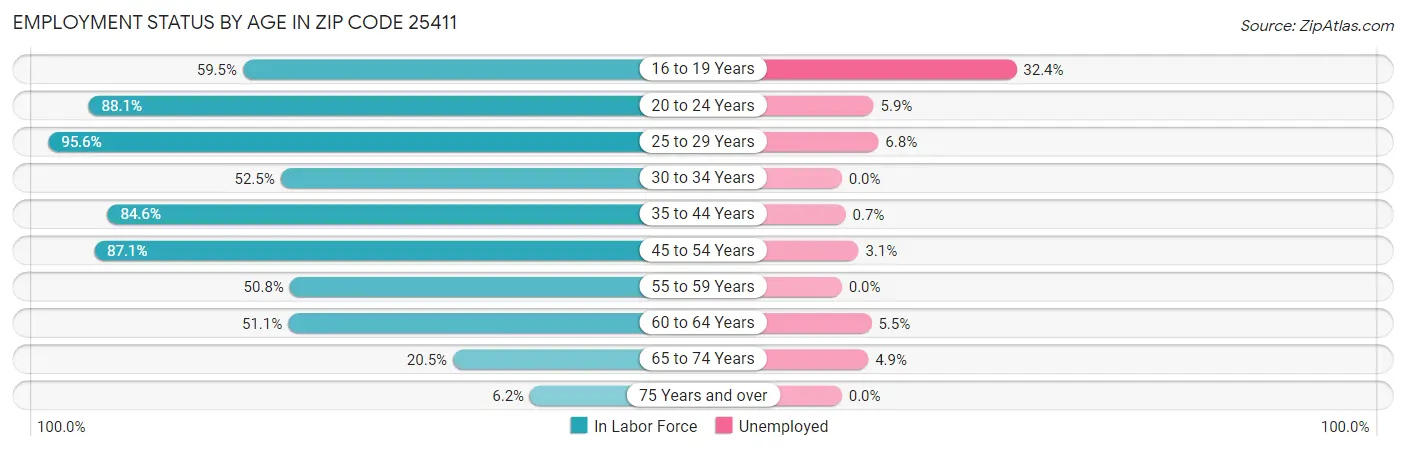 Employment Status by Age in Zip Code 25411
