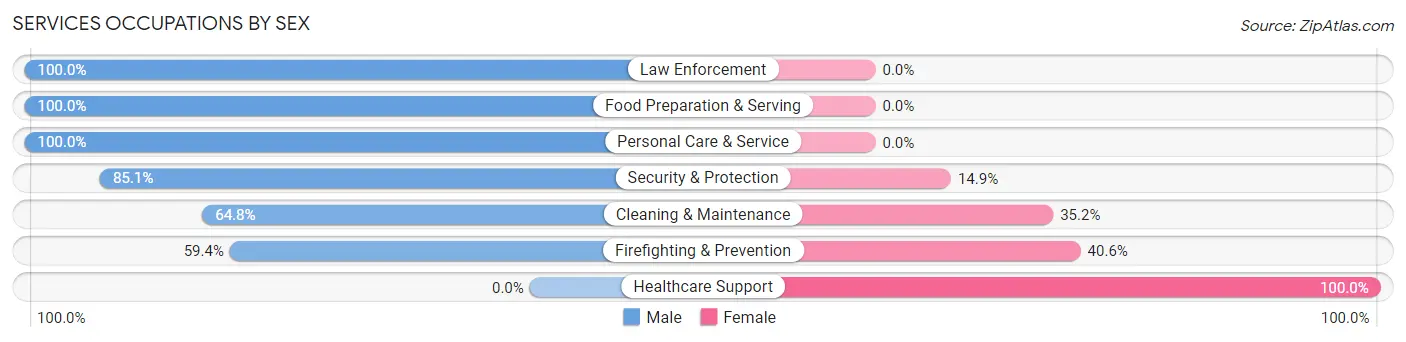 Services Occupations by Sex in Zip Code 25442