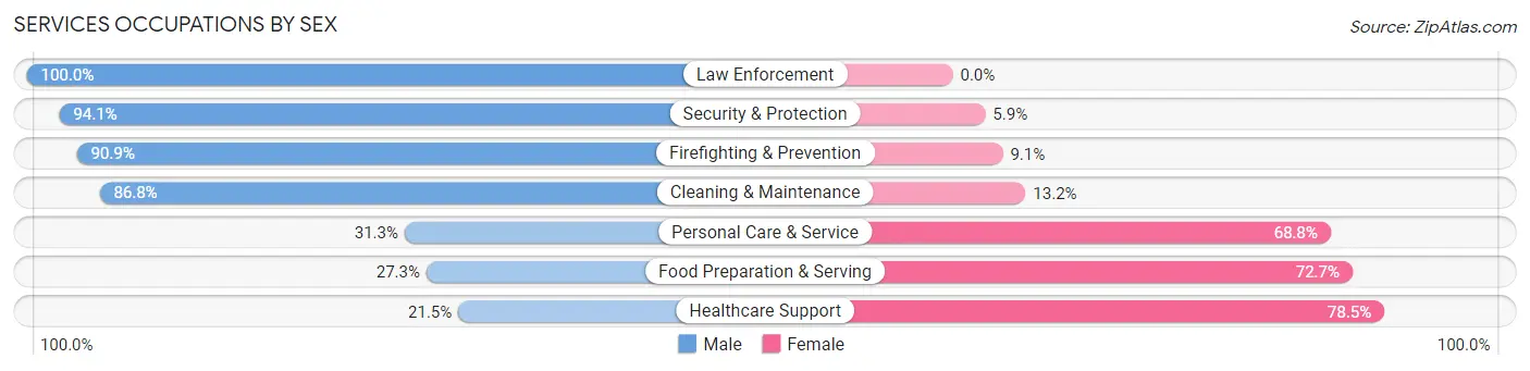 Services Occupations by Sex in Zip Code 25504
