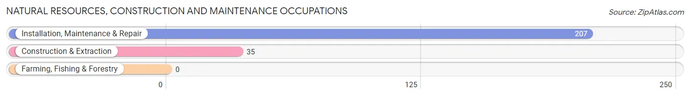 Natural Resources, Construction and Maintenance Occupations in Zip Code 25510