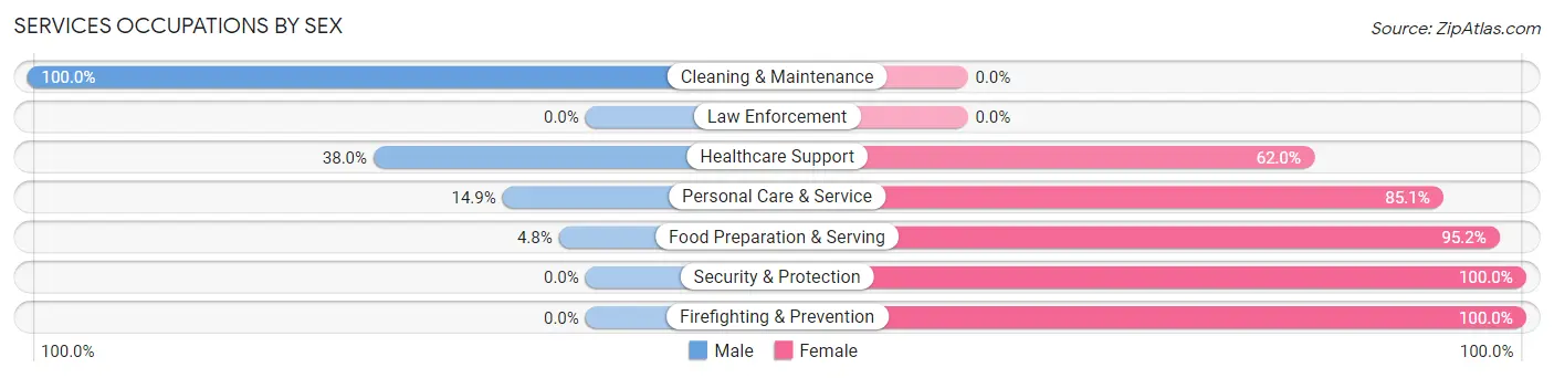 Services Occupations by Sex in Zip Code 25510