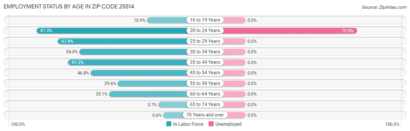 Employment Status by Age in Zip Code 25514