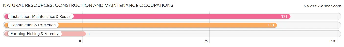 Natural Resources, Construction and Maintenance Occupations in Zip Code 25514