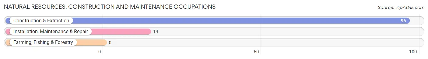 Natural Resources, Construction and Maintenance Occupations in Zip Code 25523