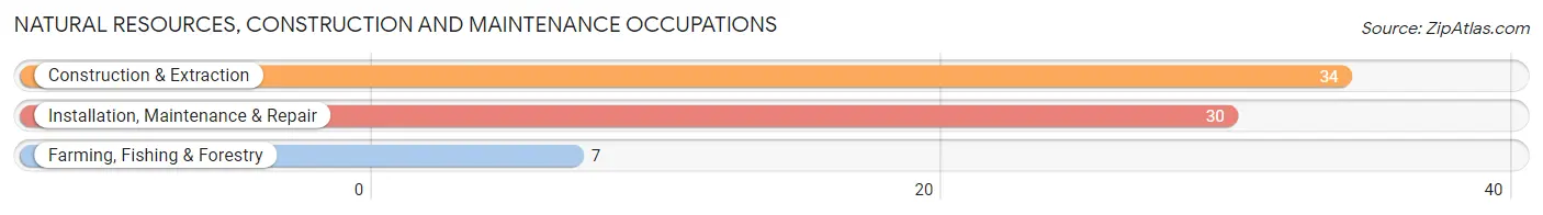 Natural Resources, Construction and Maintenance Occupations in Zip Code 25524