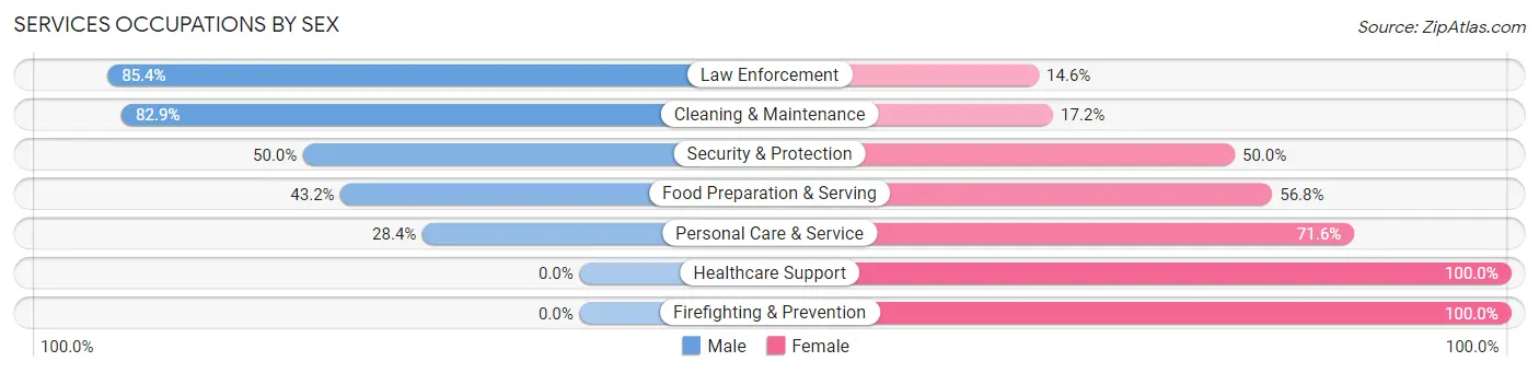 Services Occupations by Sex in Zip Code 25526