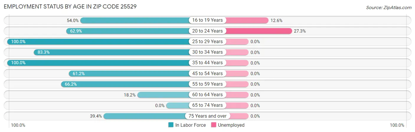 Employment Status by Age in Zip Code 25529