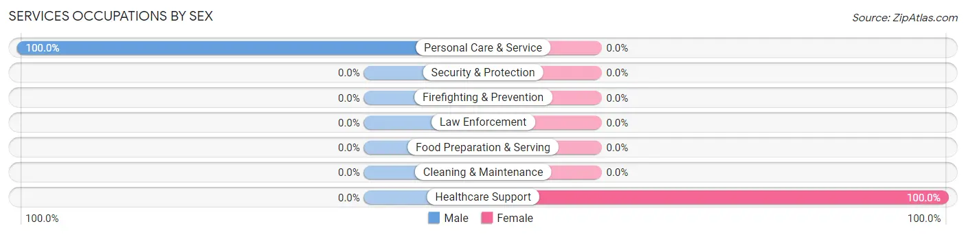 Services Occupations by Sex in Zip Code 25529