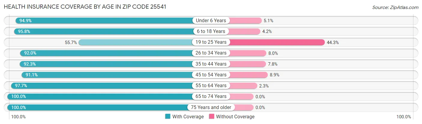Health Insurance Coverage by Age in Zip Code 25541