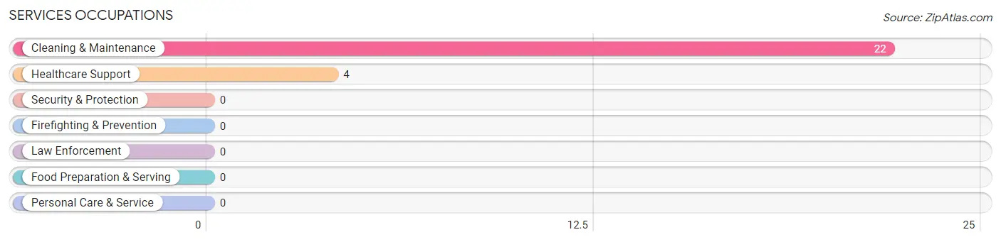 Services Occupations in Zip Code 25557