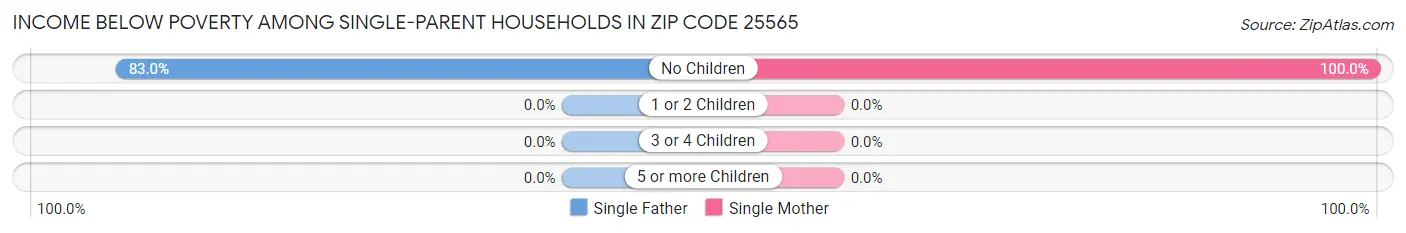 Income Below Poverty Among Single-Parent Households in Zip Code 25565