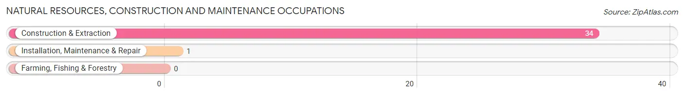 Natural Resources, Construction and Maintenance Occupations in Zip Code 25571