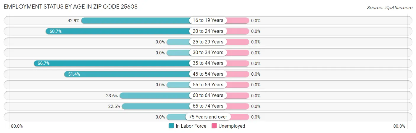 Employment Status by Age in Zip Code 25608