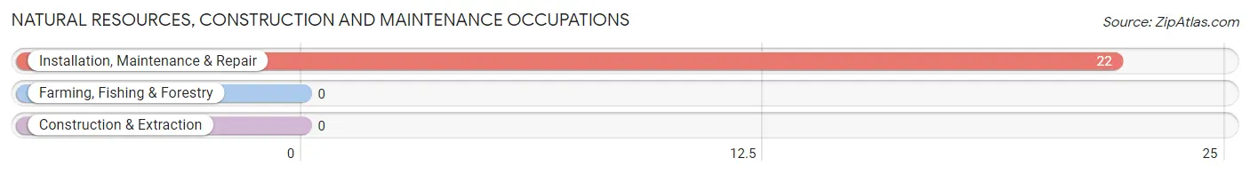 Natural Resources, Construction and Maintenance Occupations in Zip Code 25608