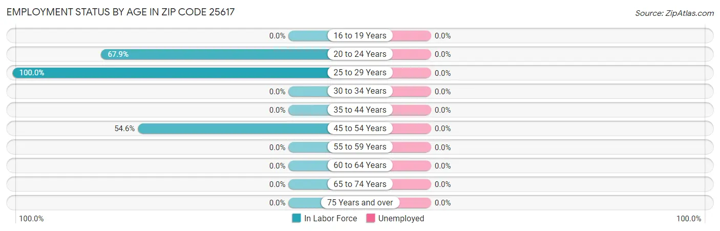 Employment Status by Age in Zip Code 25617