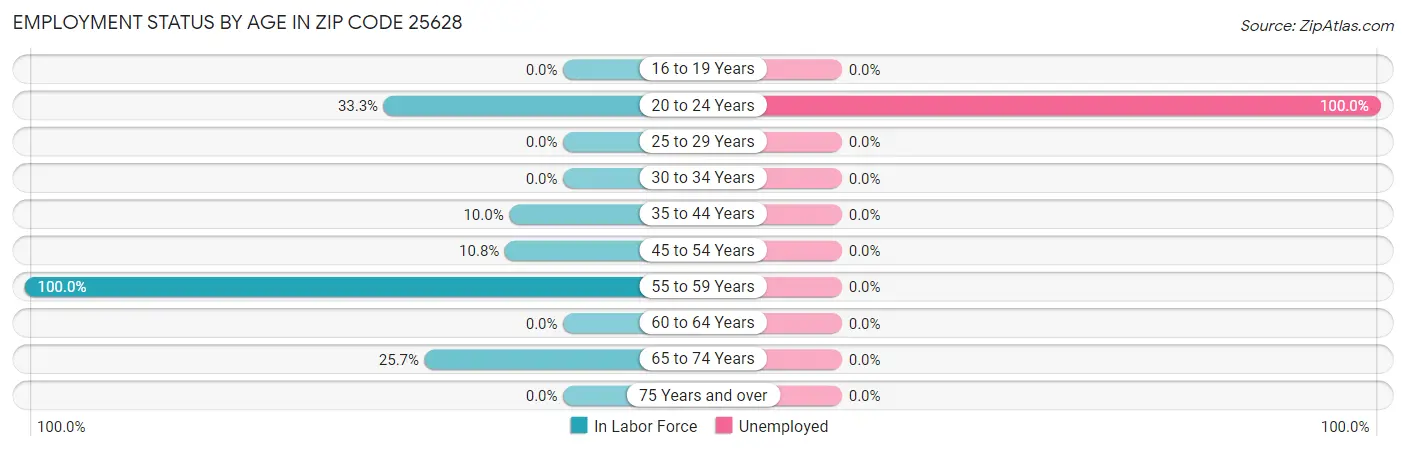 Employment Status by Age in Zip Code 25628