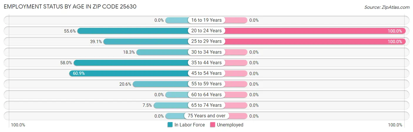 Employment Status by Age in Zip Code 25630