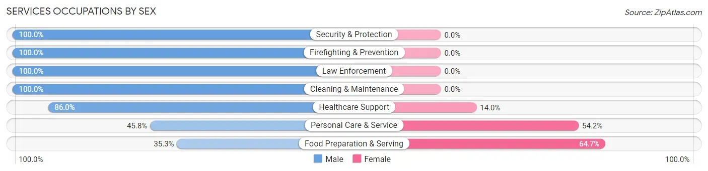 Services Occupations by Sex in Zip Code 25635