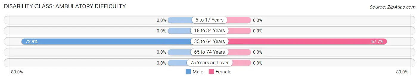 Disability in Zip Code 25646: <span>Ambulatory Difficulty</span>