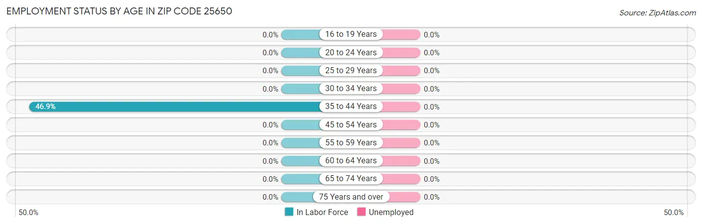 Employment Status by Age in Zip Code 25650