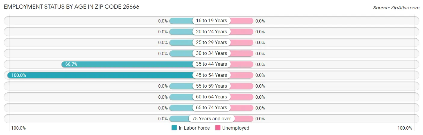 Employment Status by Age in Zip Code 25666