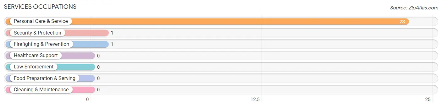 Services Occupations in Zip Code 25667