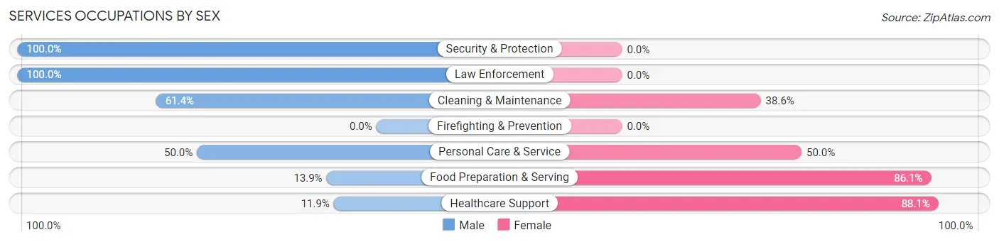 Services Occupations by Sex in Zip Code 25670