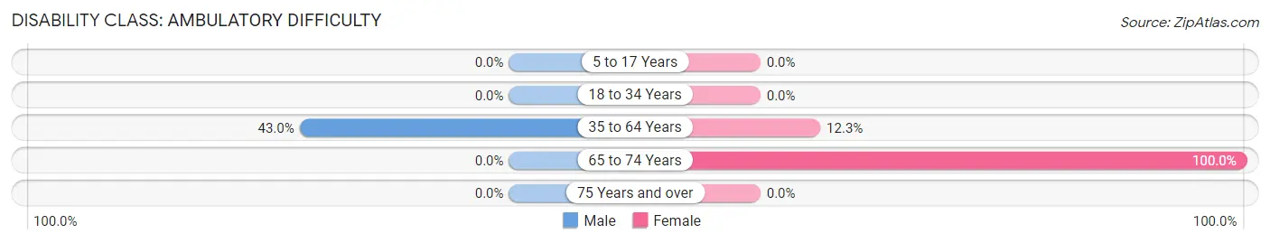 Disability in Zip Code 25685: <span>Ambulatory Difficulty</span>