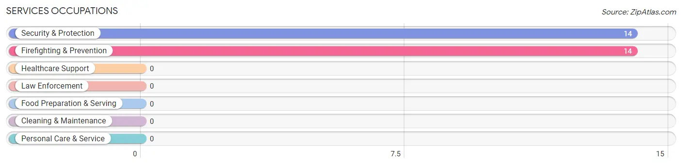 Services Occupations in Zip Code 25685