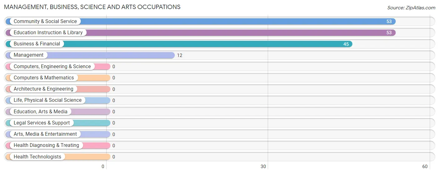 Management, Business, Science and Arts Occupations in Zip Code 25696