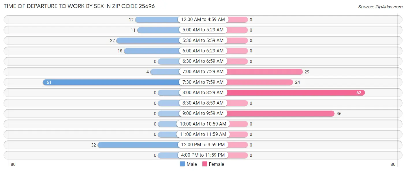 Time of Departure to Work by Sex in Zip Code 25696