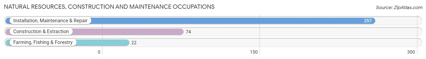 Natural Resources, Construction and Maintenance Occupations in Zip Code 25701